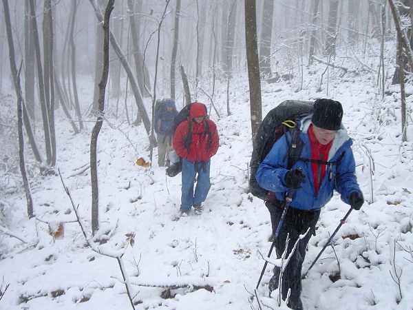 6468 Pine Mountain survival.jpg